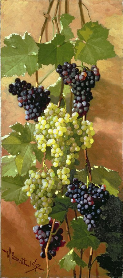 Grapes by Edward Chalmers Leavitt